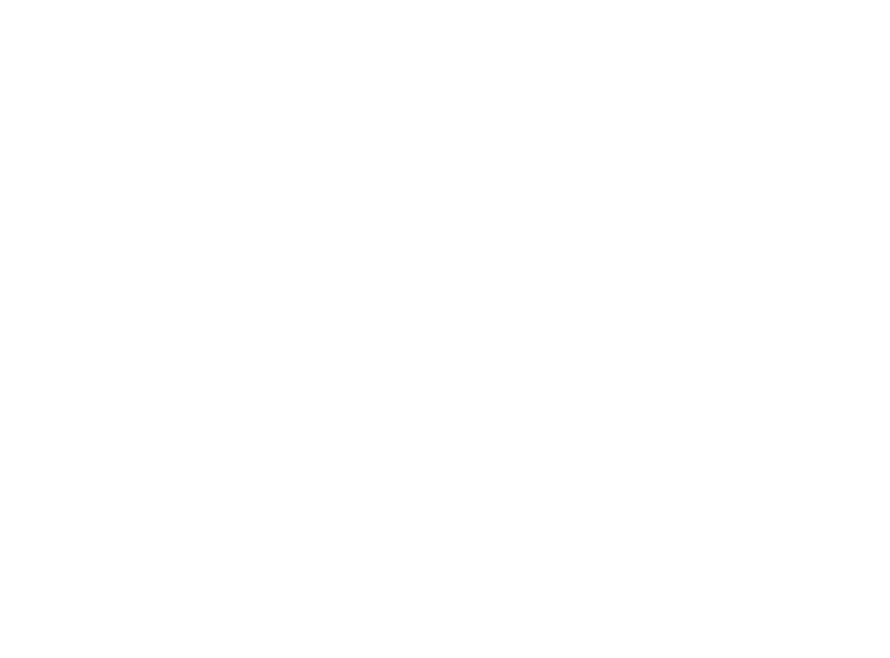 S&P Bildmarke weiss