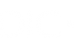 DIC Logo weiss