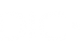 dic_weiss DIC Logo weiss